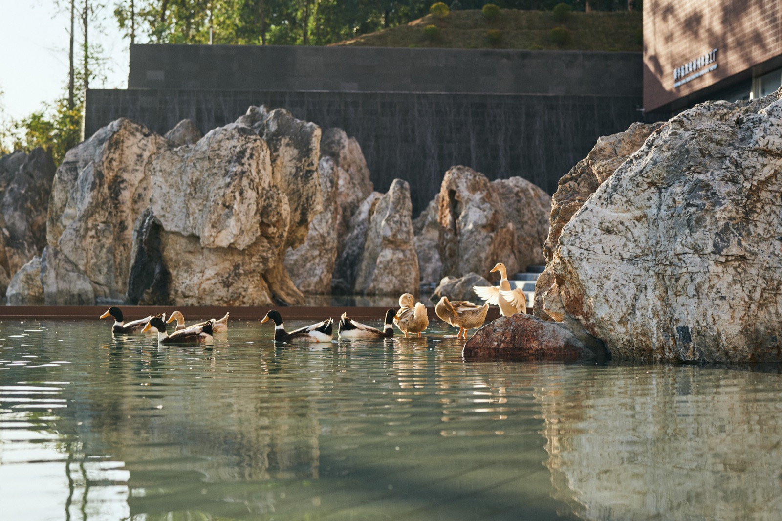 Shunhua Linwu Duck Chenzhou Experience Factory の内観