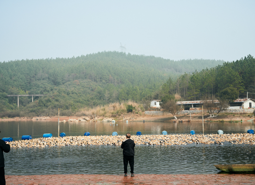 Shunhua Linwu Duck Chenzhou Experience Factory の制作風景 8