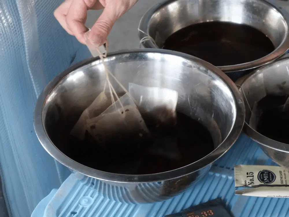 Smith Teamaker Shibuya Tasting Room の制作風景 1